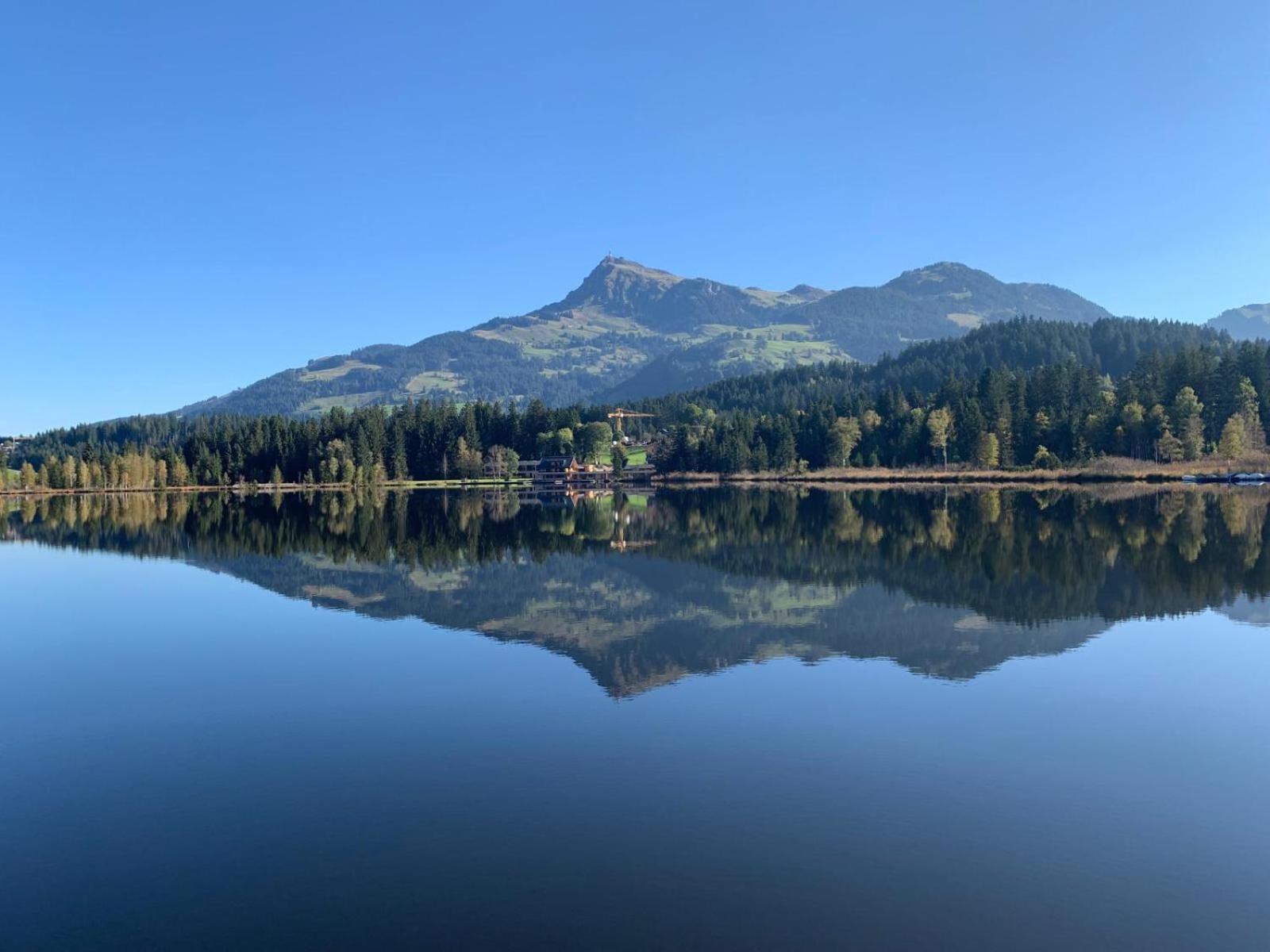 Waldnest