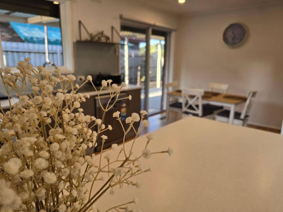Meadow View Cottage
