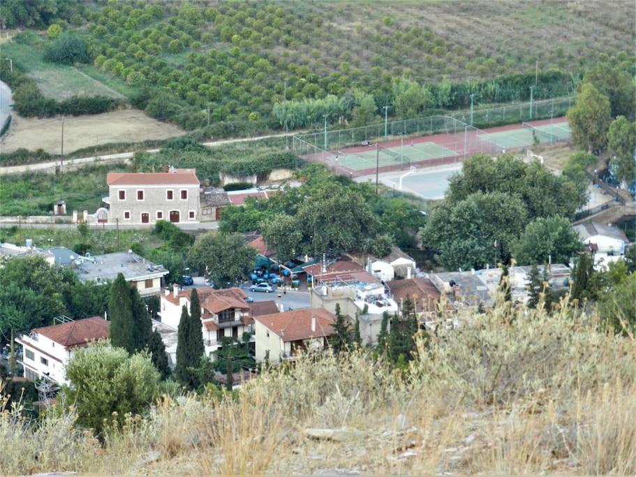 Photo 10