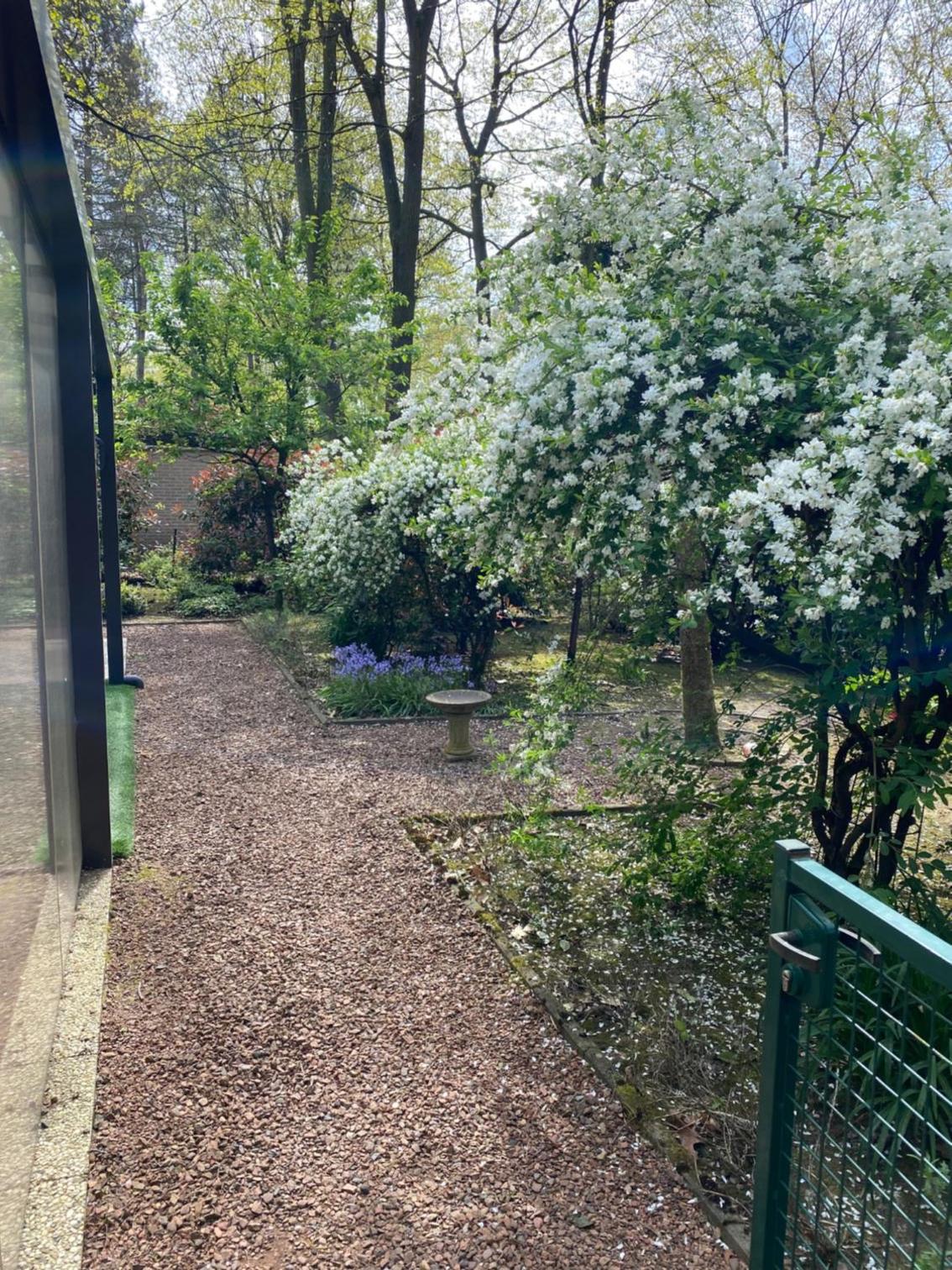 Spechthuisje, 4-pers bungalow in Rekem