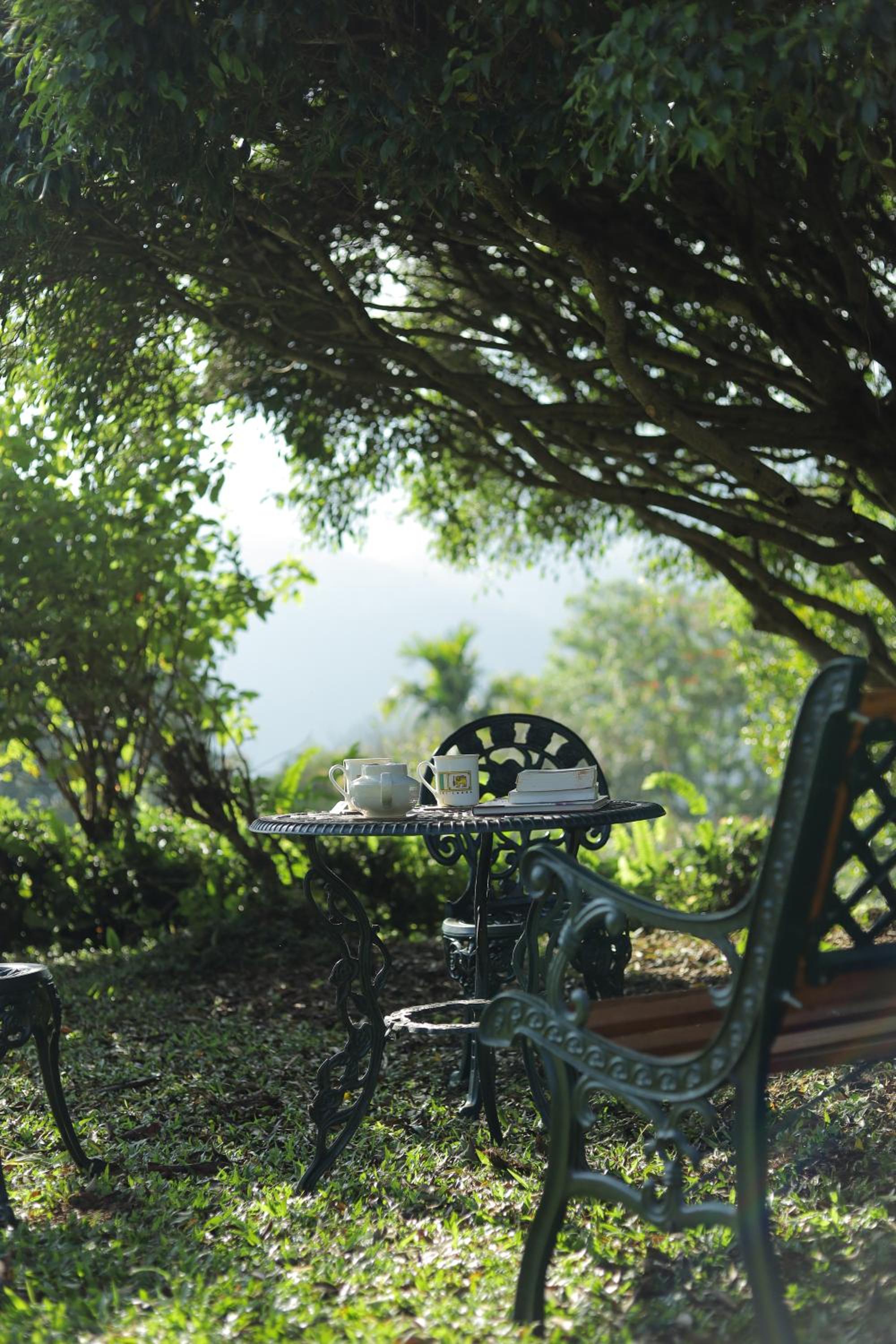 The Secret Garden view 3