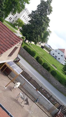 Apartment Ferienwohnung EselGlück für 1 Person - Oberlausitz, Naturidylle, Tiere, Wandern, Erholung