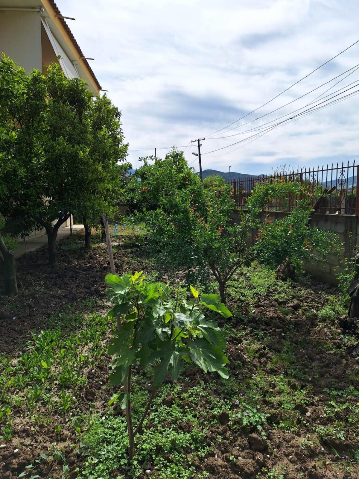 Guest House Edison photo 2