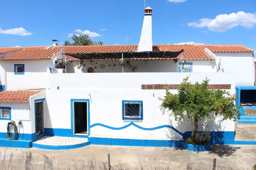 Photo 25