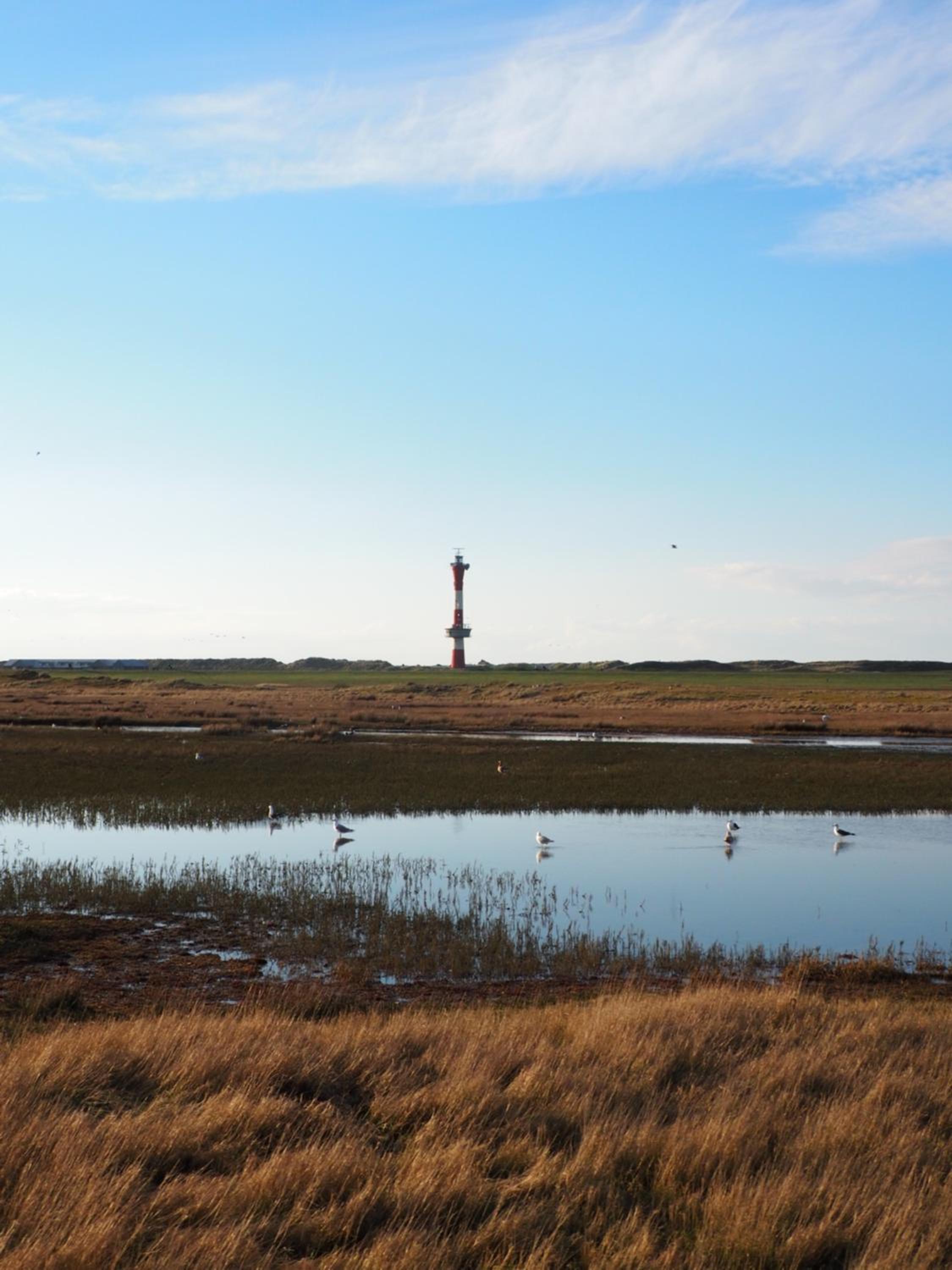 Apartment mit Meeresblick Wangerooge