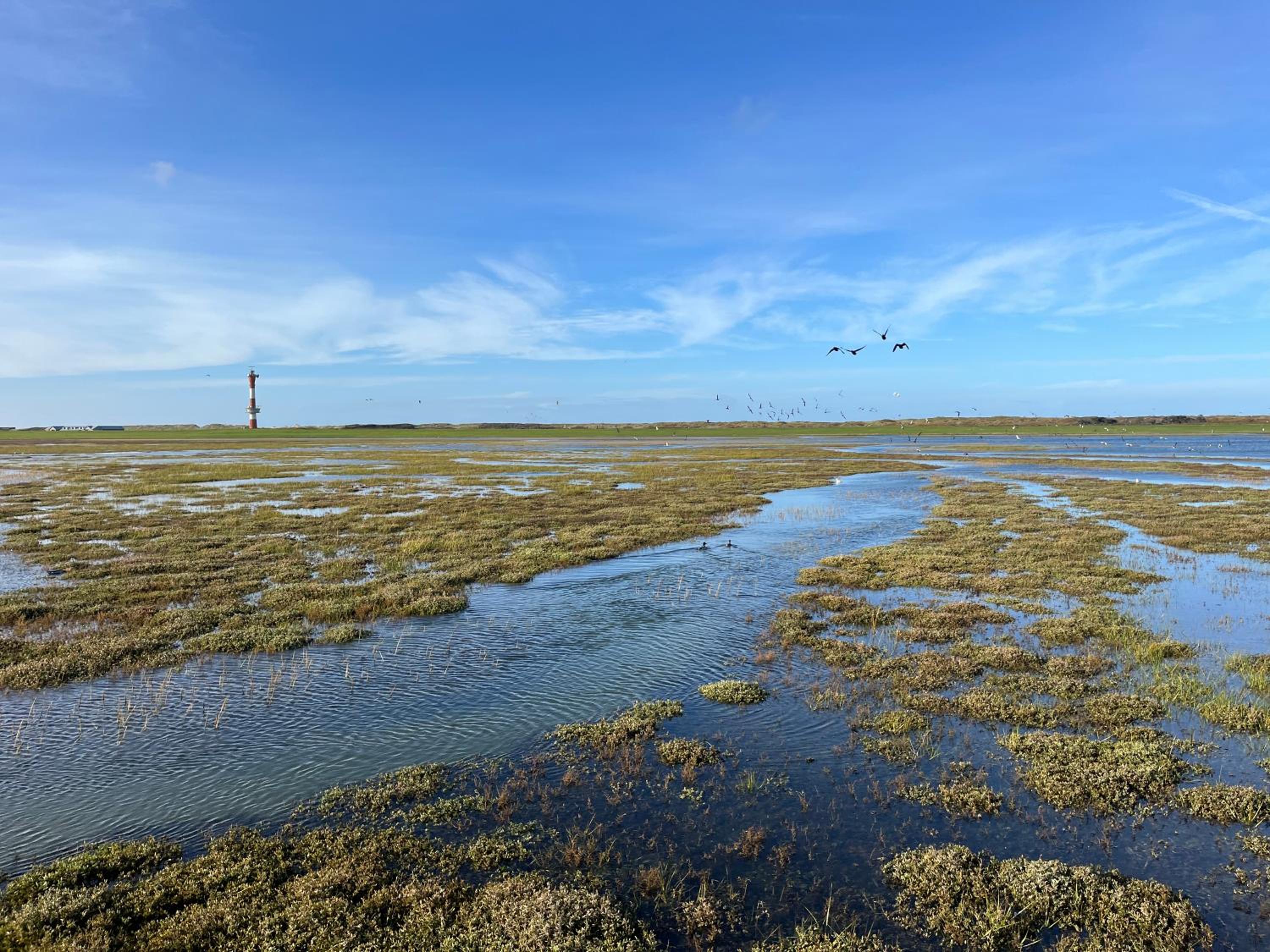 Apartment mit Meeresblick Wangerooge
