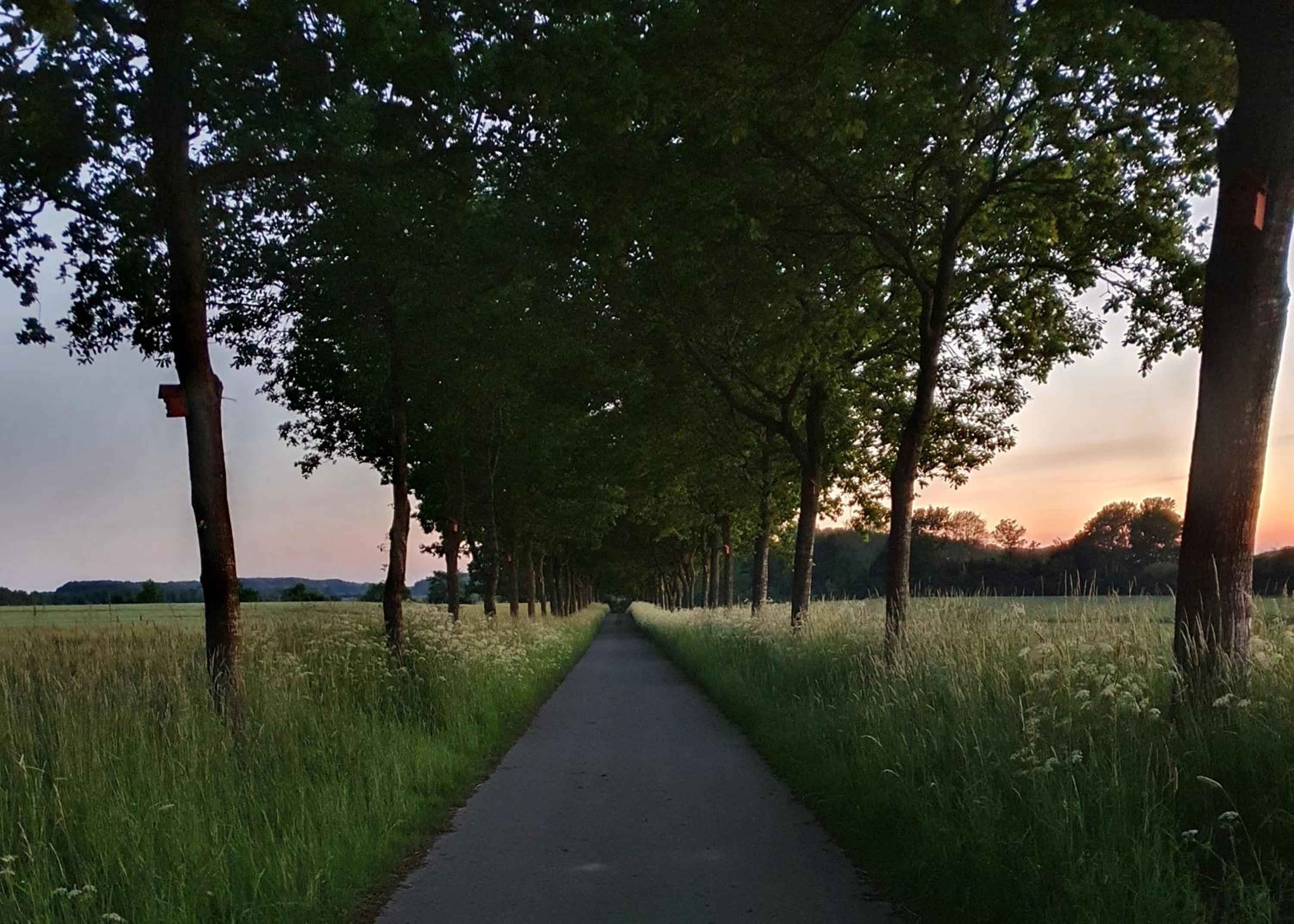 Ferienwohnung Gut Hardesby - großzügig mit Kamin & tollem Garten