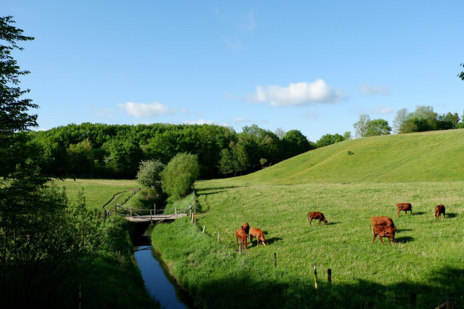 Ferienwohnung Gut Hardesby - großzügig mit Kamin & tollem Garten