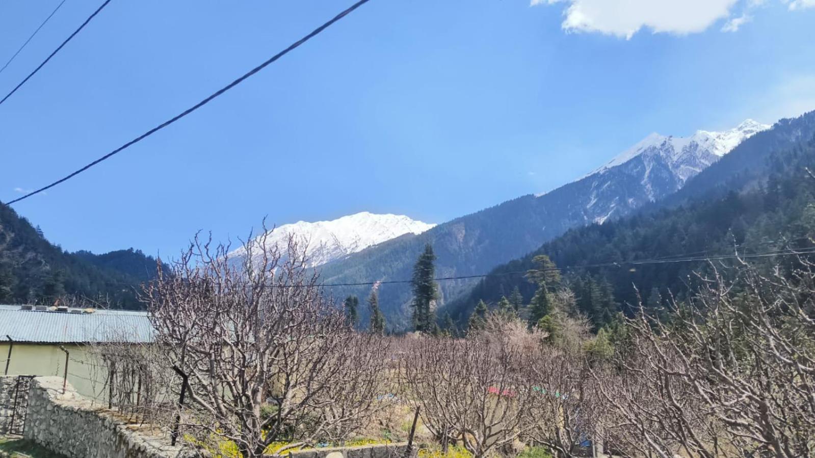 Rongpa Home Stay view 5