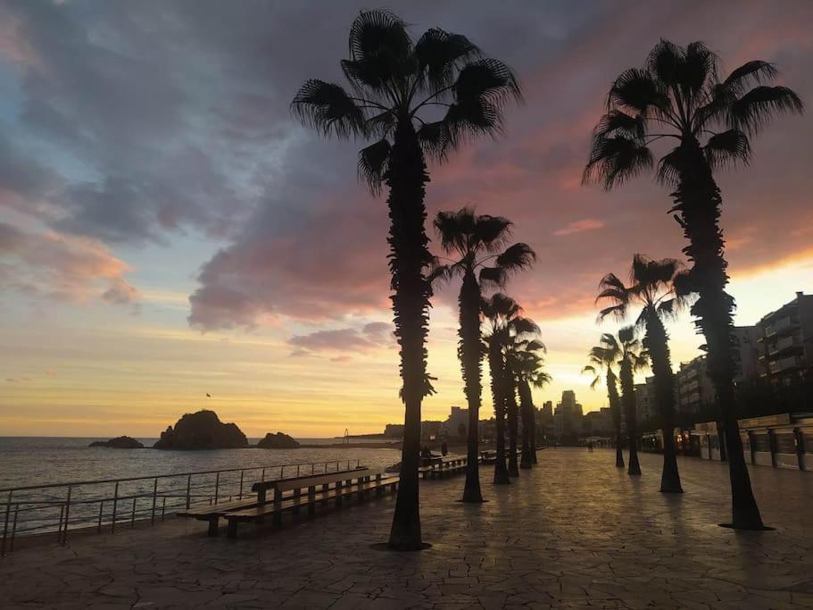 Amplio apartamento Blanes