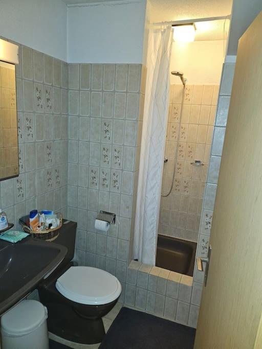 5-mins walk to Zurich Main Station - City Center