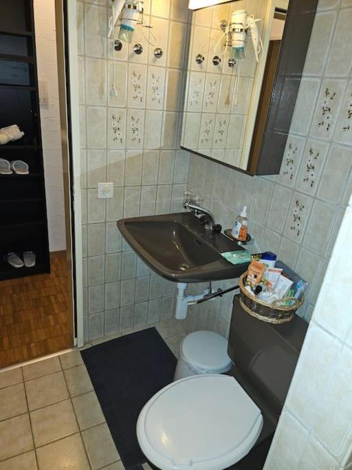 5-mins walk to Zurich Main Station - City Center