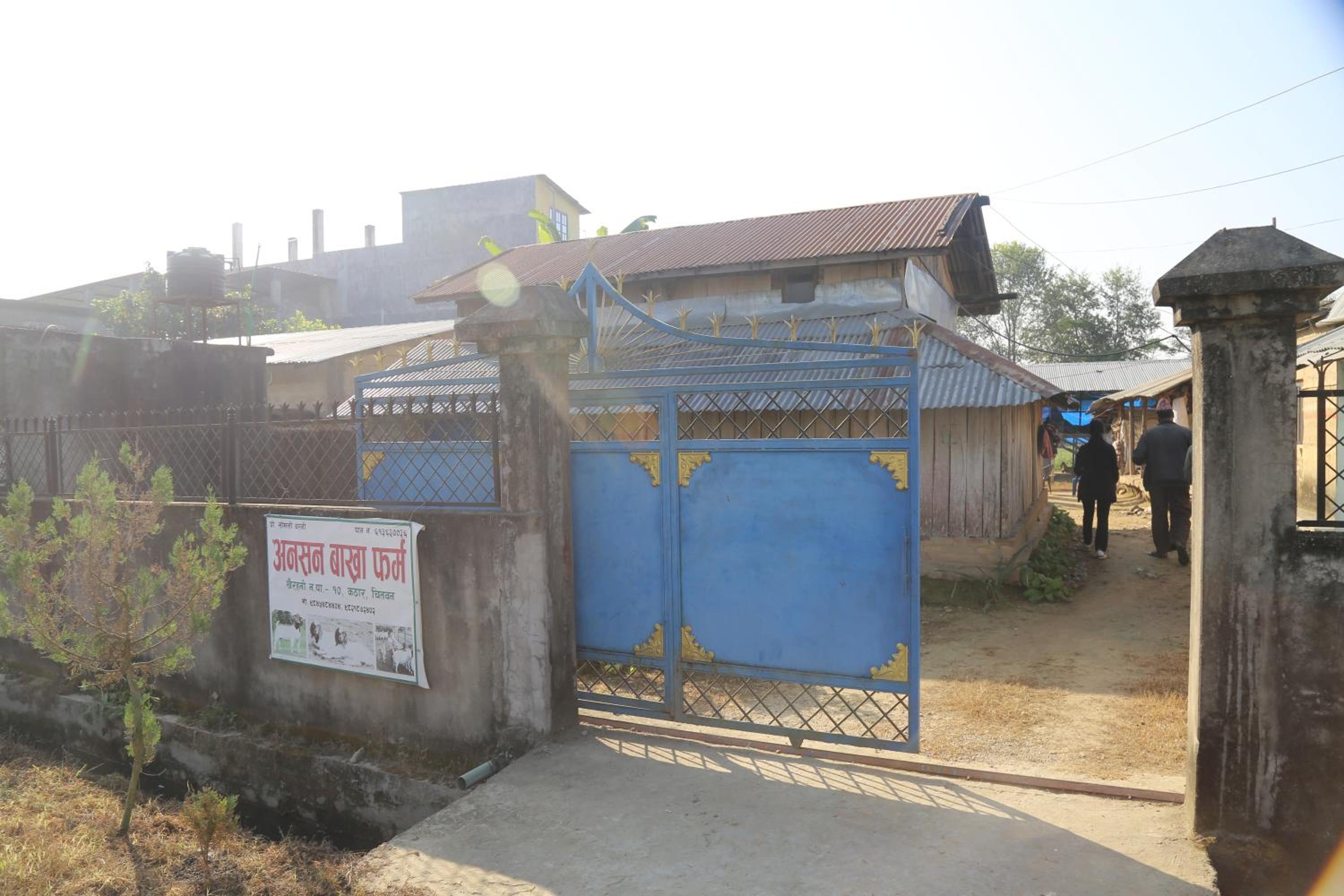 Tharu COOP Homestay in Sauraha -Chitwan
