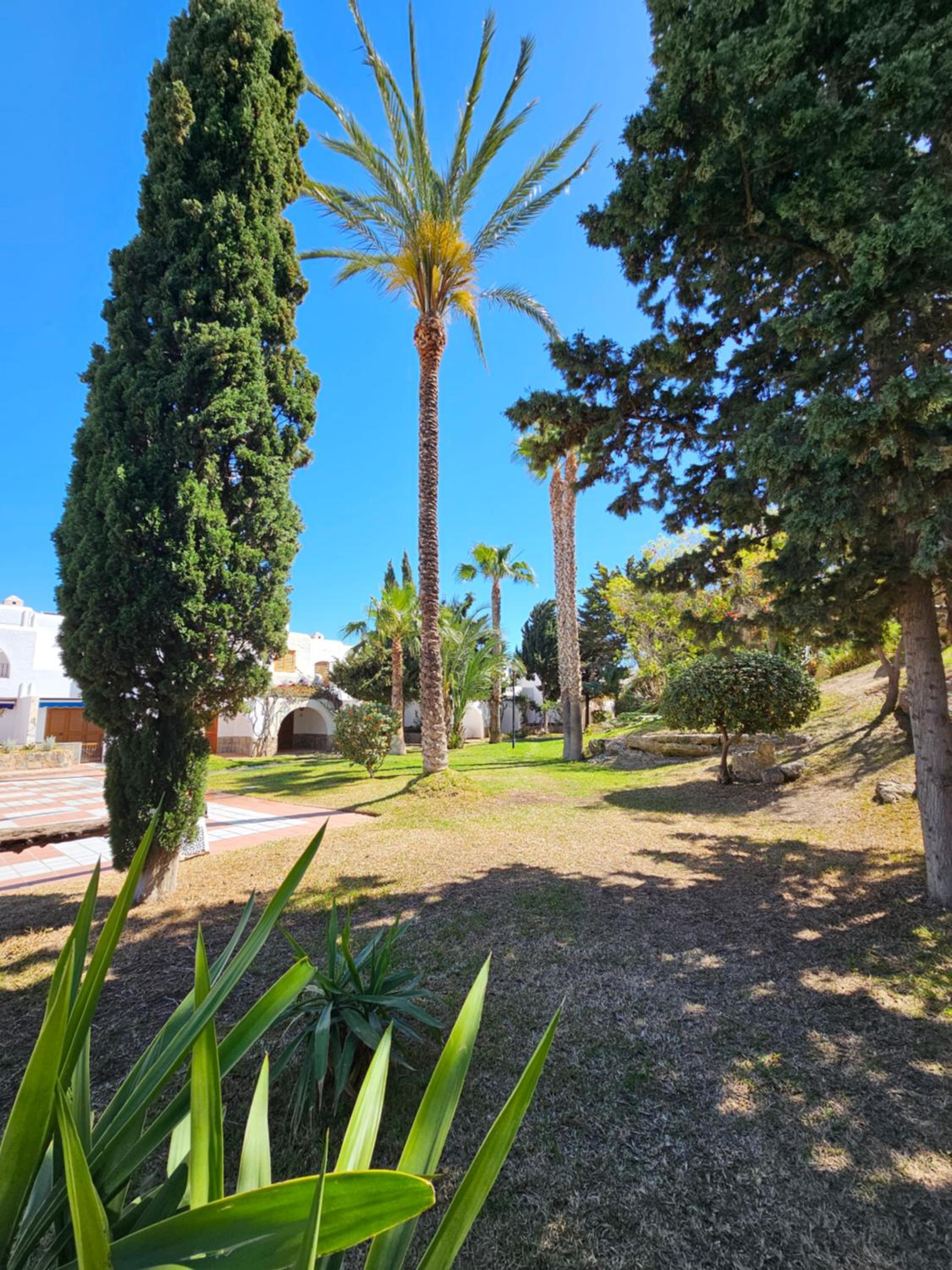 Apartamento Floral Urb.Las Marinas