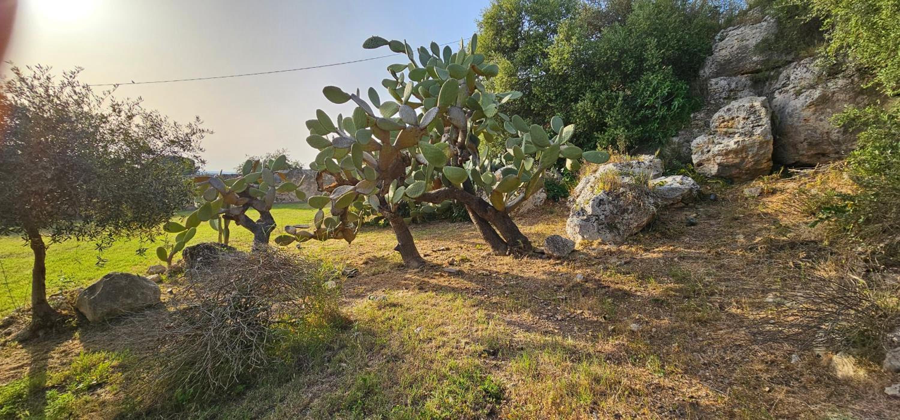 Relais Casa Mirabile, photo 23
