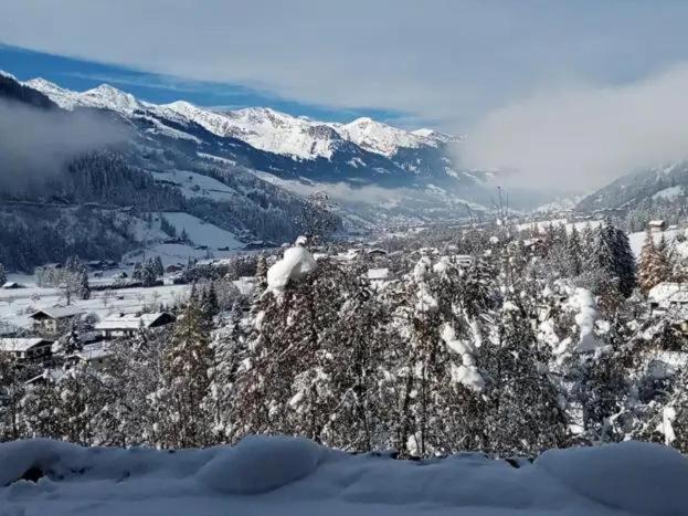 Chalet Rosemarie