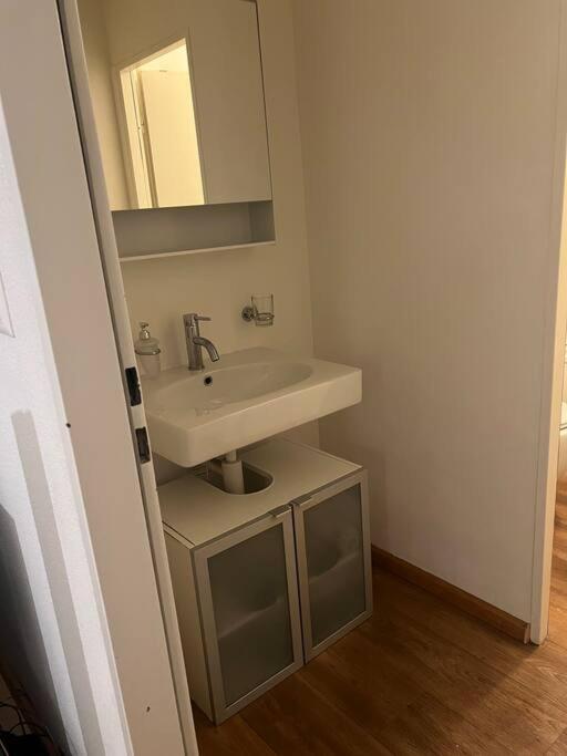 Maisonette Wohnung in Basel