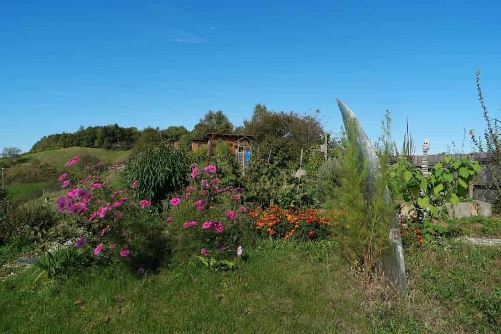 Wohlfühlhaus mit großem Garten