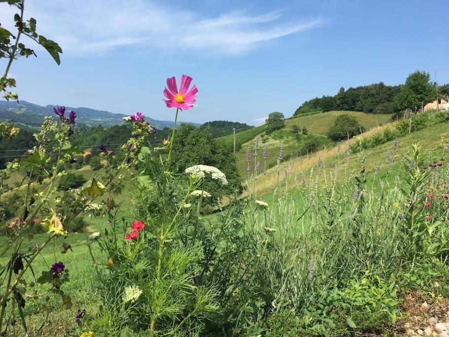 Wohlfühlhaus mit großem Garten