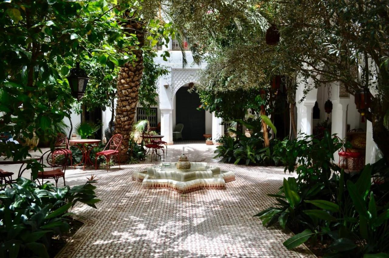 Riad Ifoulki