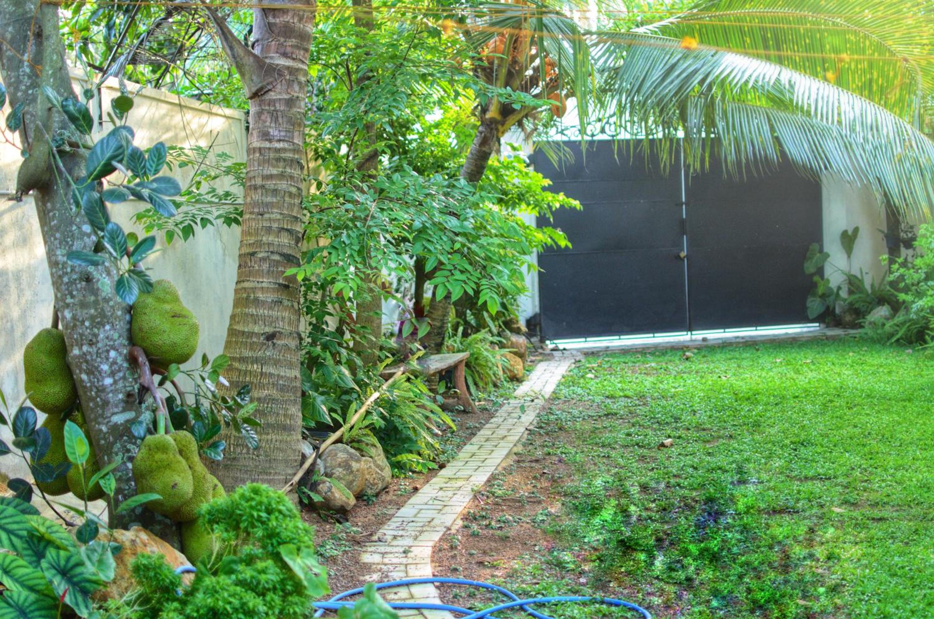 Opulent Oasis Villa