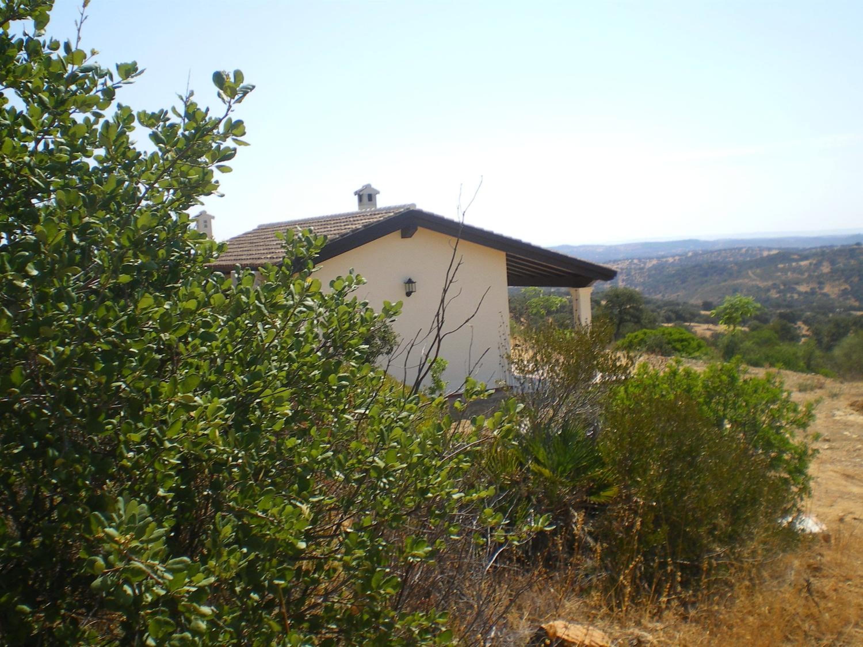 Photo 26