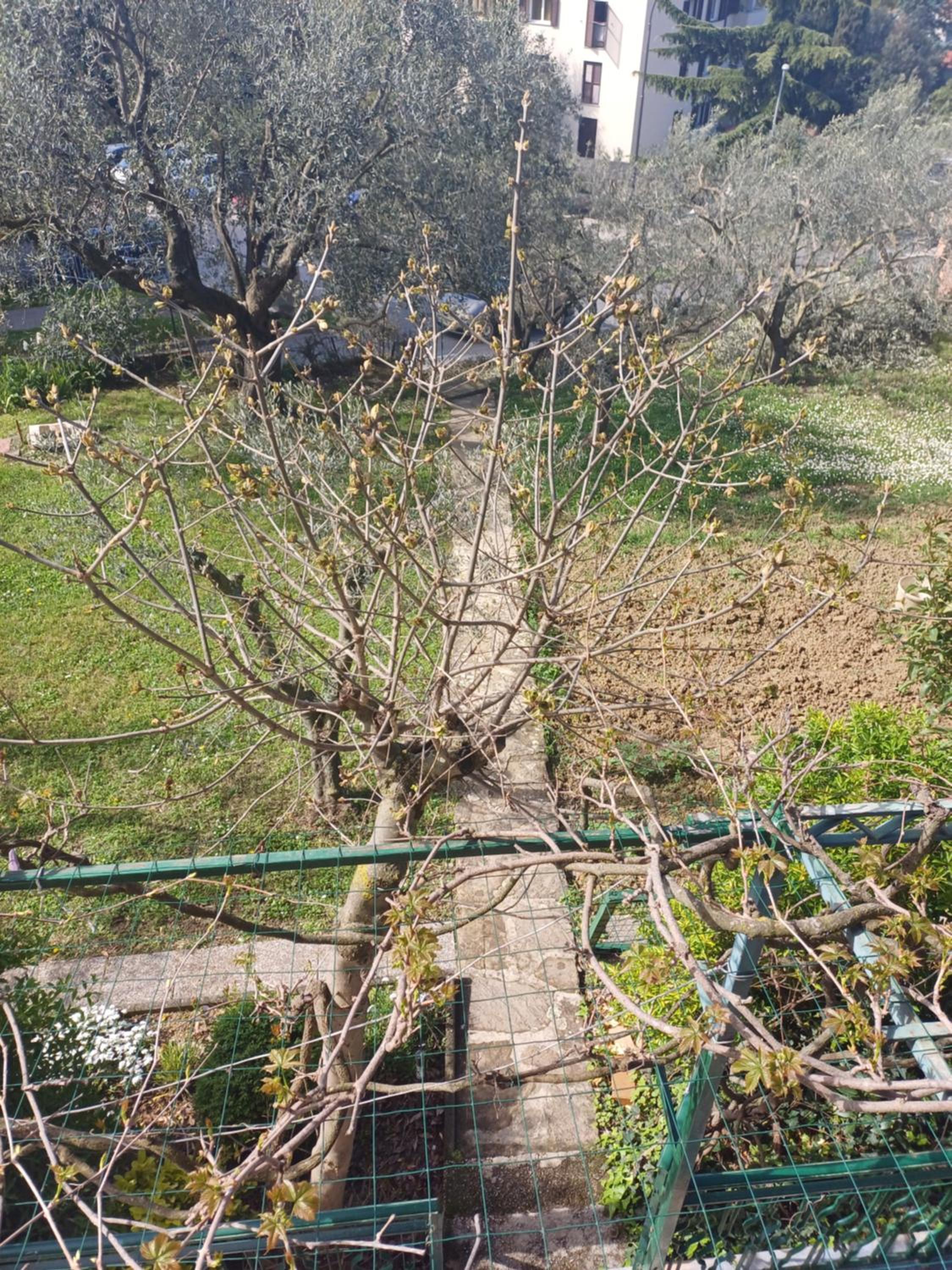 KLAVDIJ HOUSE view 3