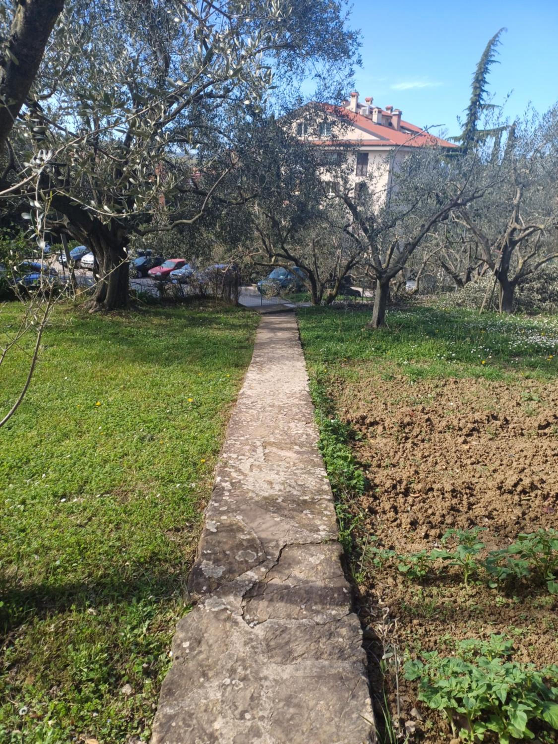 KLAVDIJ HOUSE view 5