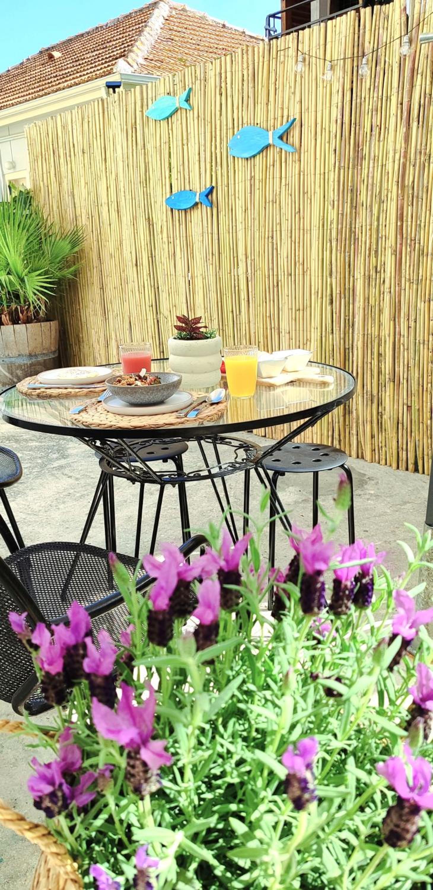 balance & terrace