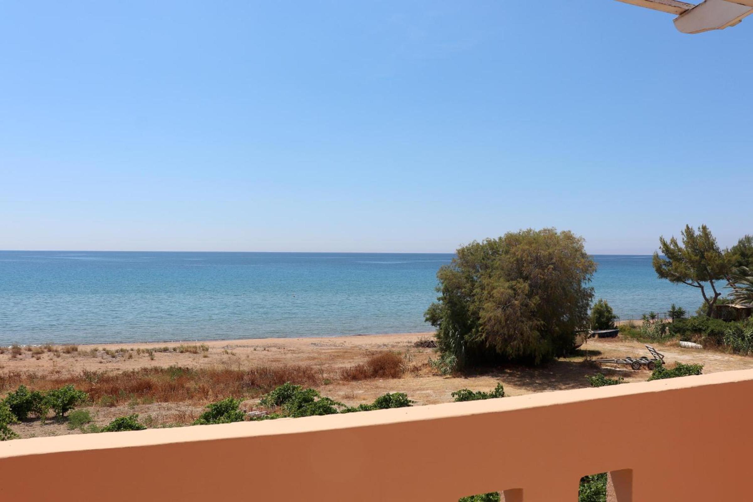 Memi View B1