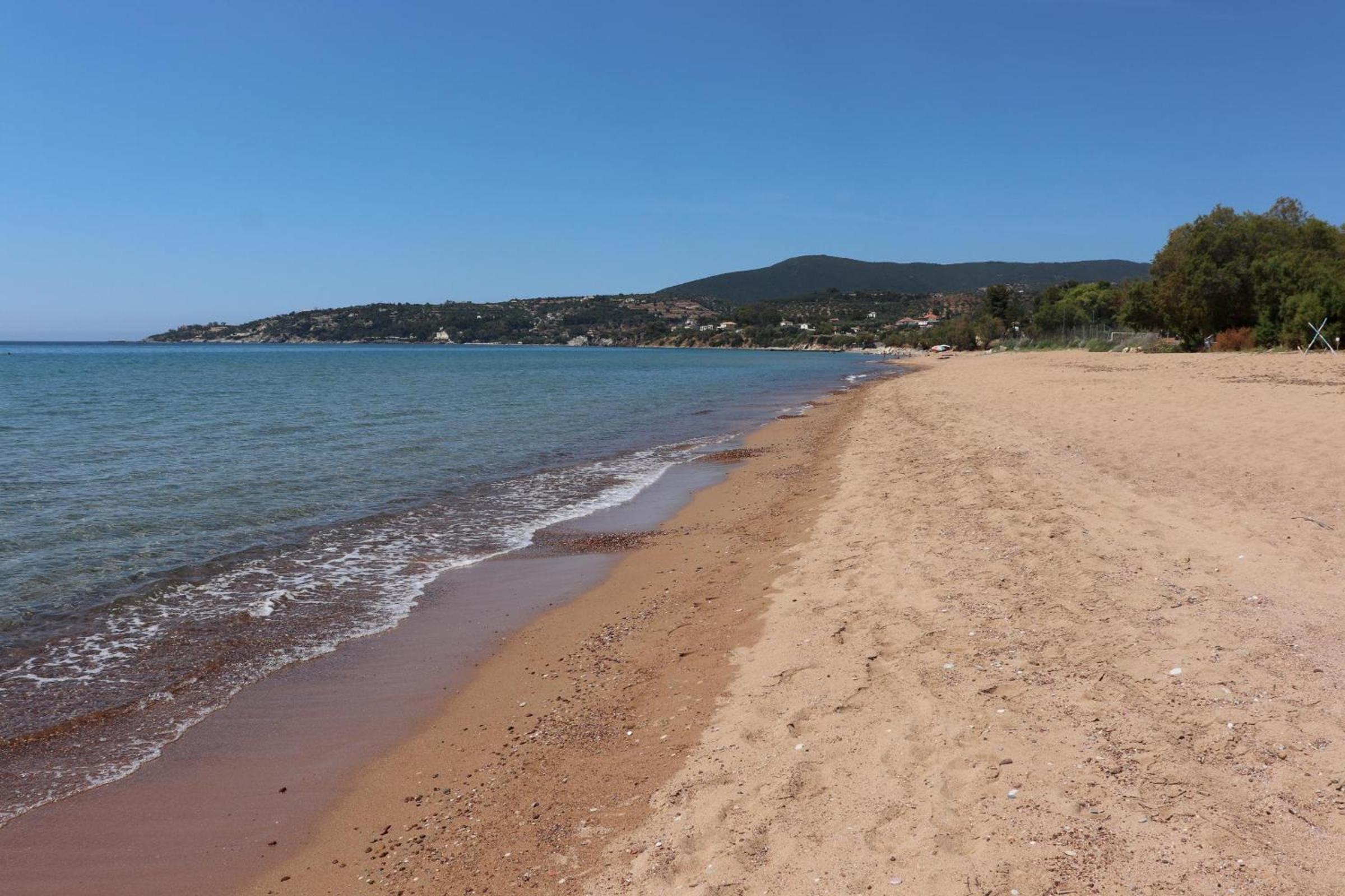 Memi View B1 en Koroni