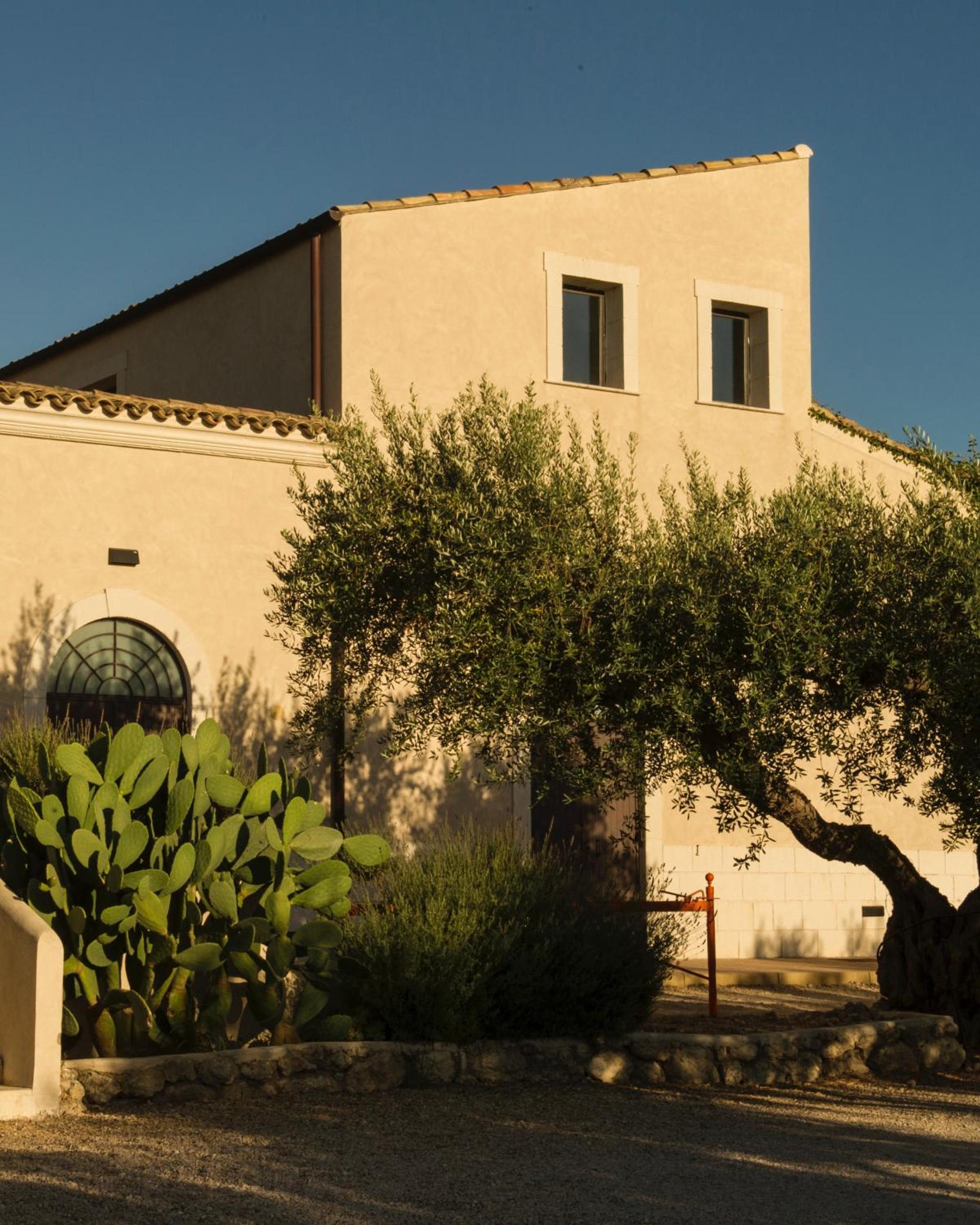 Azienda Agricola Mandranova