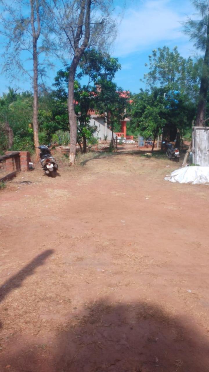 Photo 21
