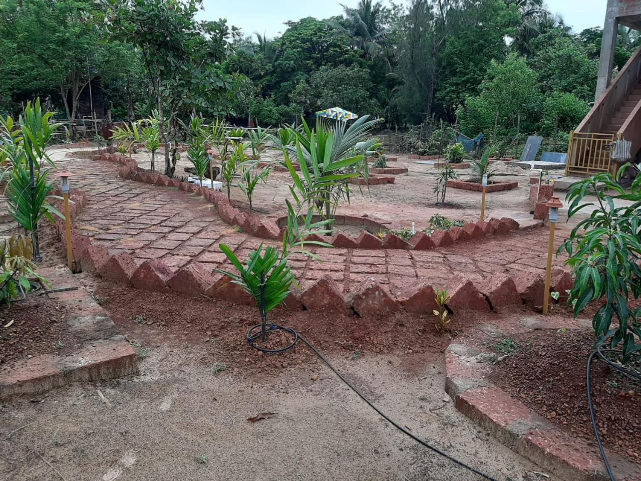 Photo 18