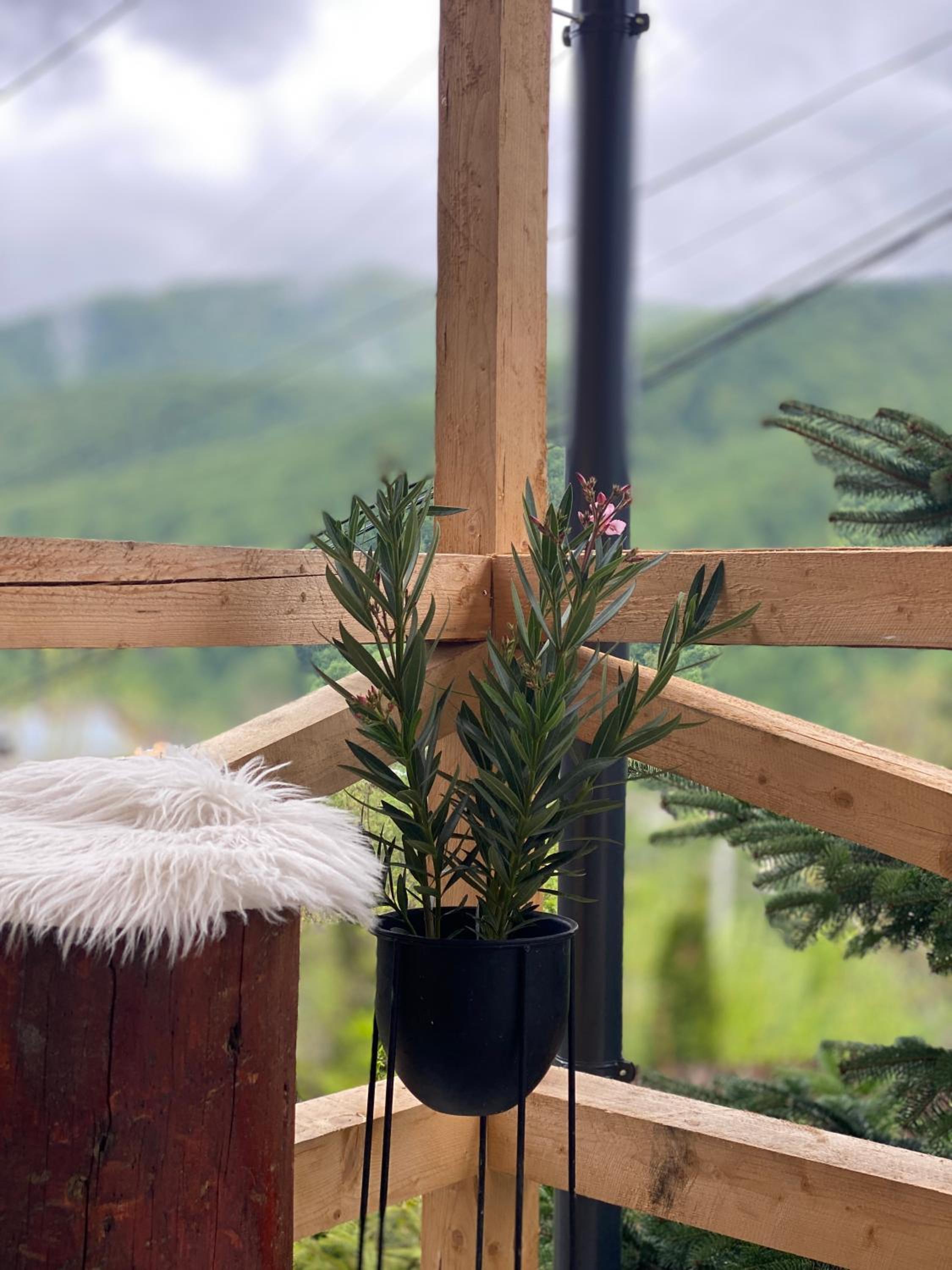 Chalet Husky-Pet Friendly&Private