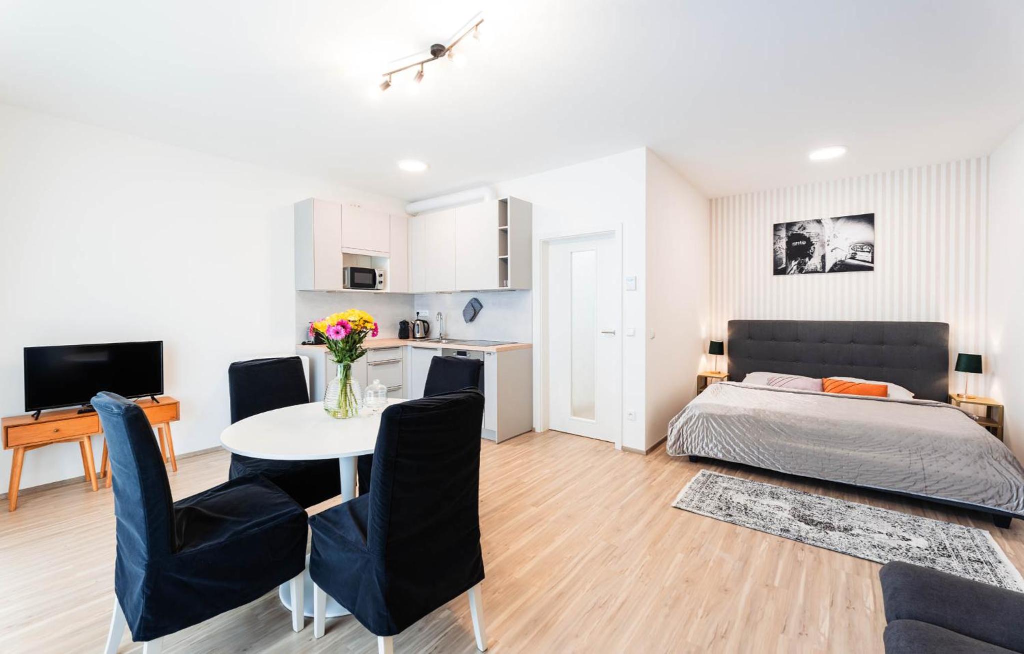 Silvie Apartments - Wolkerova
