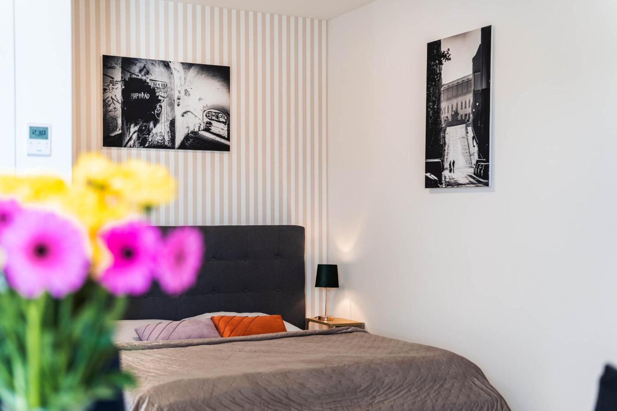 Silvie Apartments - Wolkerova