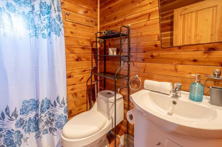 Villarrica Cabin 2BR with Fireplace and terrace