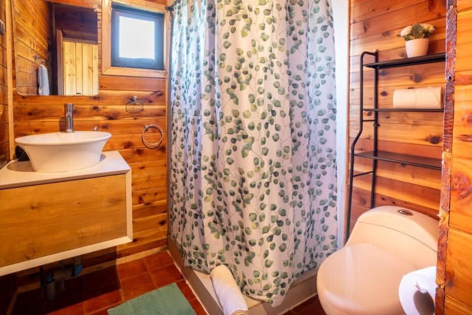 Villarrica Cabin 2BR with Fireplace and terrace