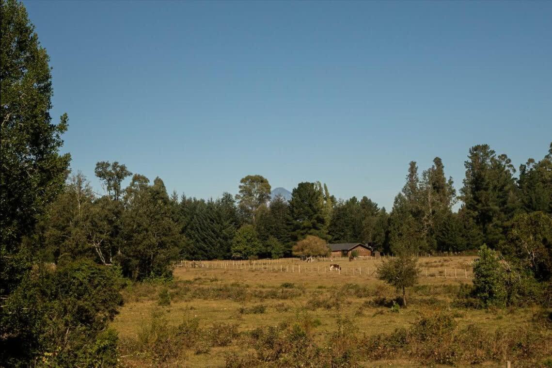 Villarrica Cabin 2BR with Fireplace and terrace