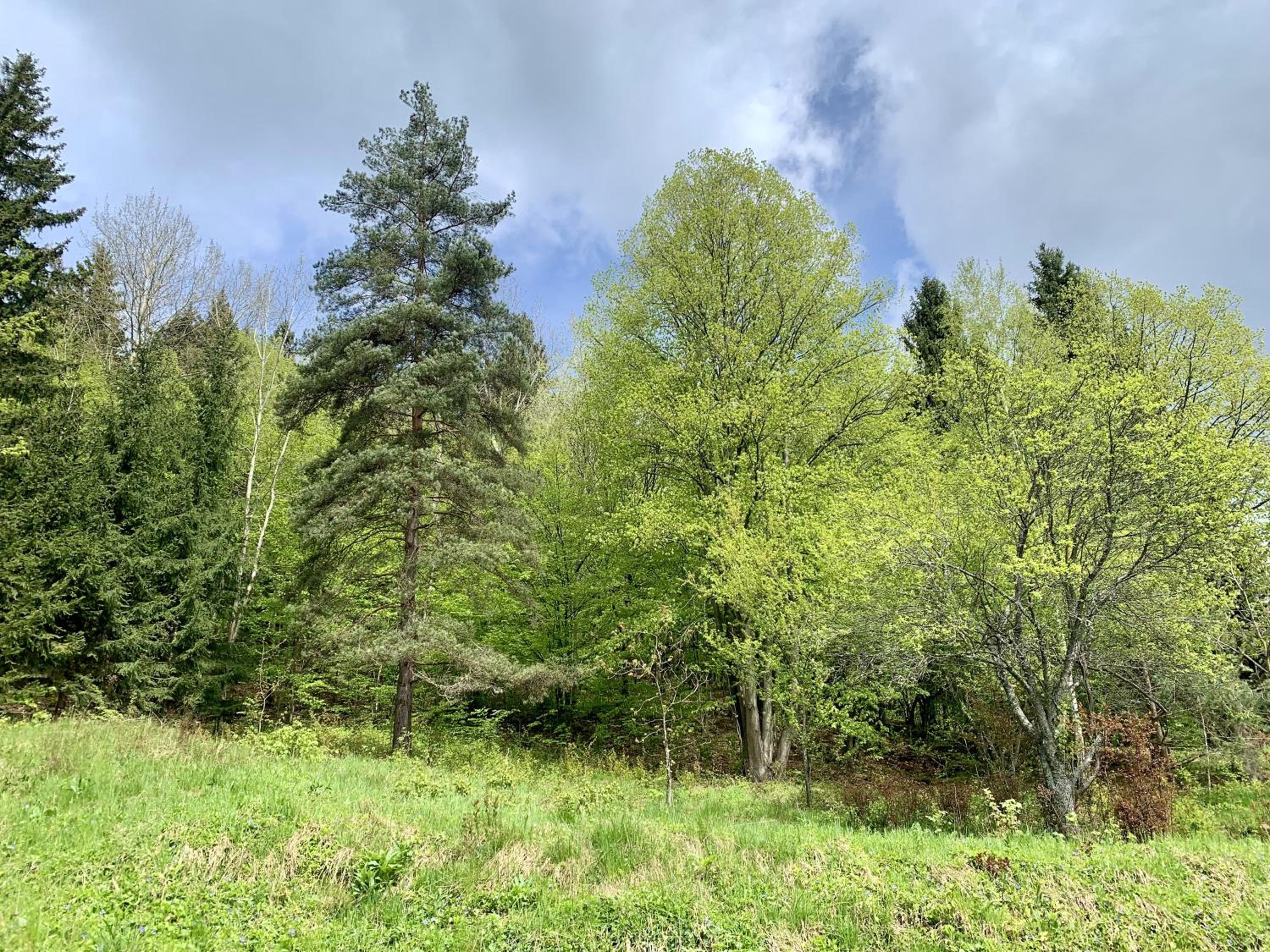 Photo 25