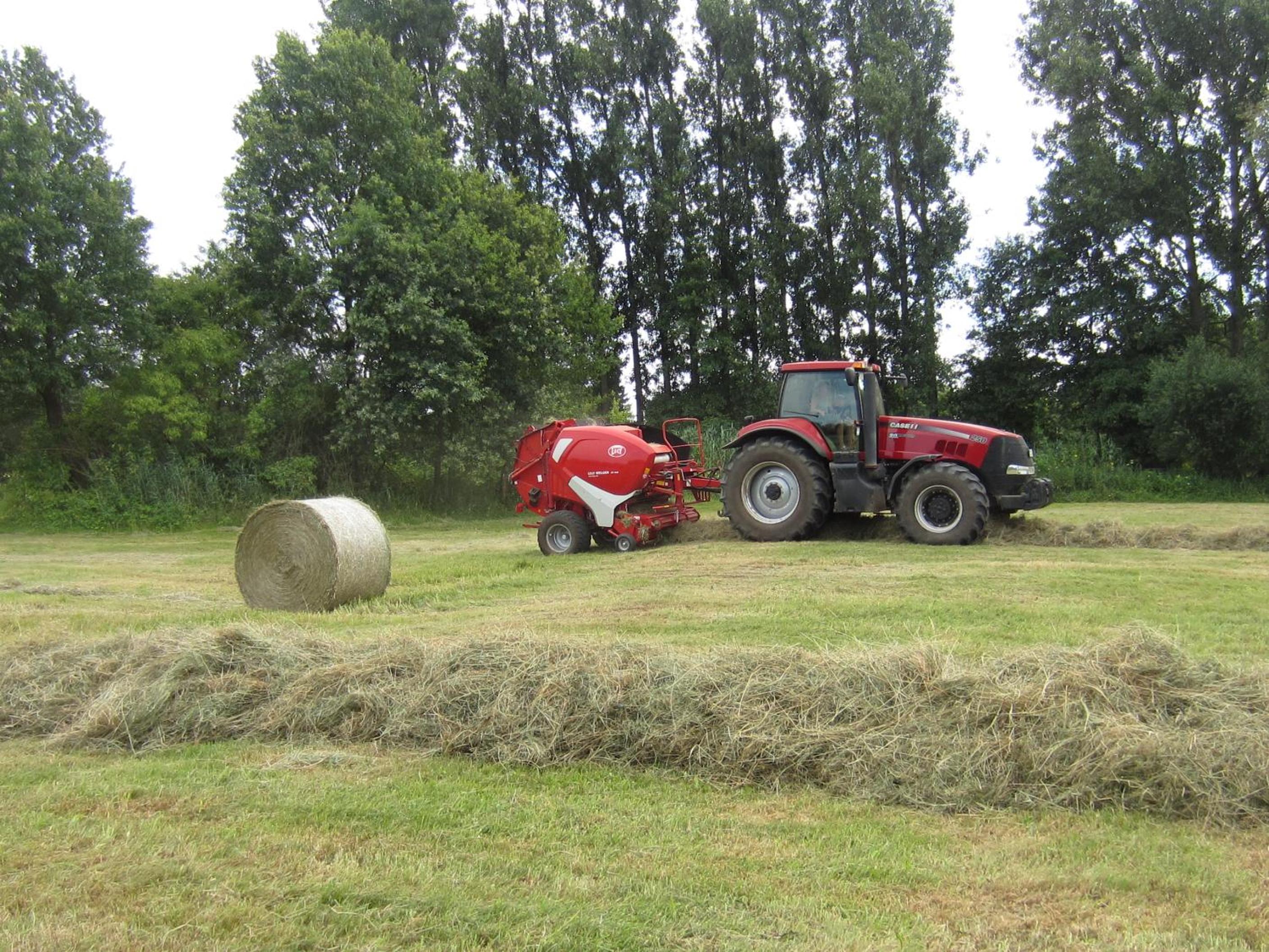 Die Spreewaldbetten - Bauernhof