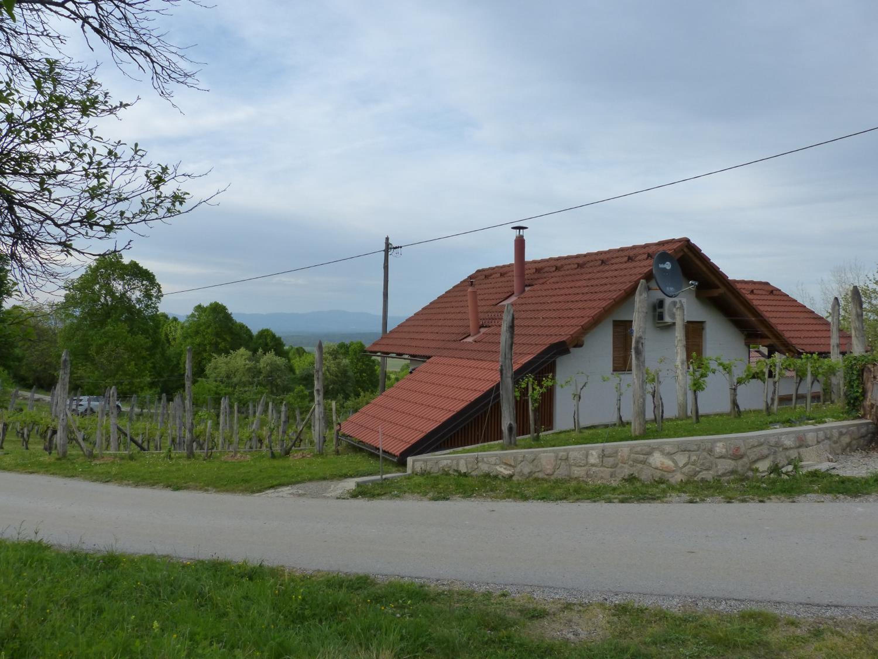 Photo 16