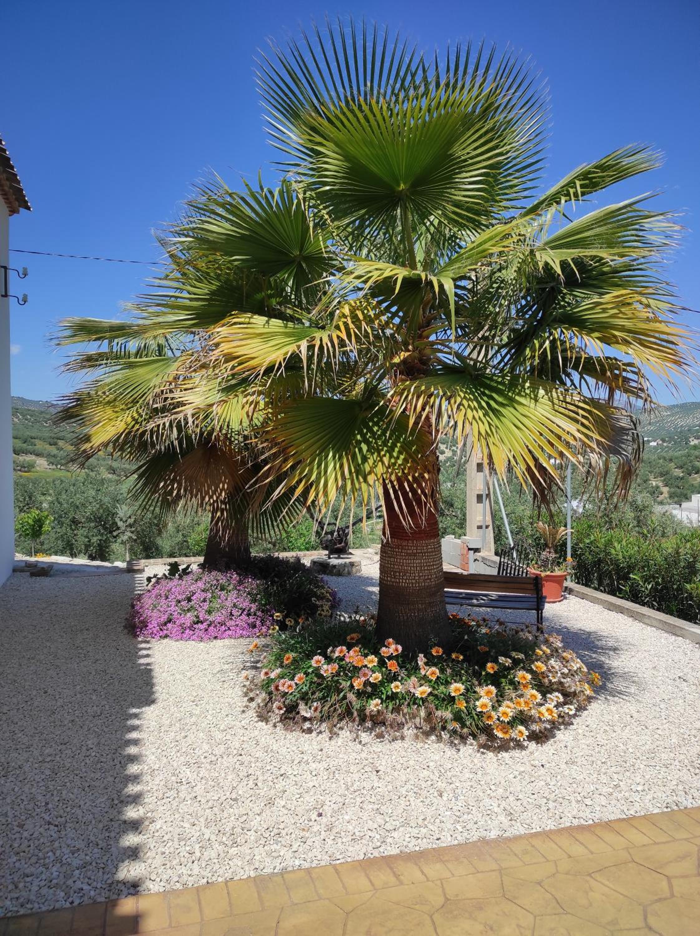 Las Marrojas, secluded Tudor country cottage