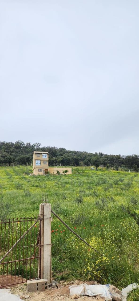 AYA Farm,Ferme d'hotes Aguelmous view 5