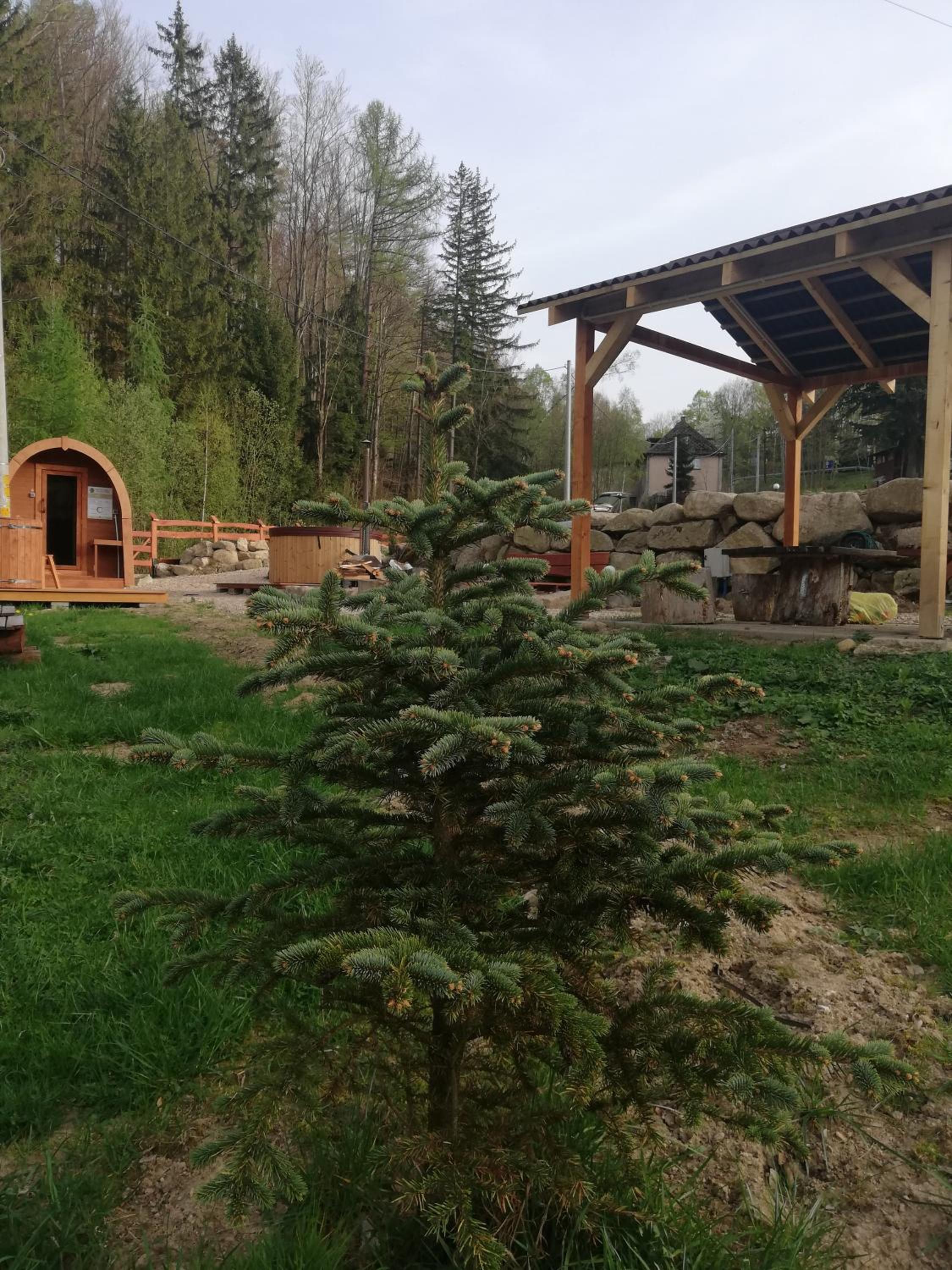Photo 25