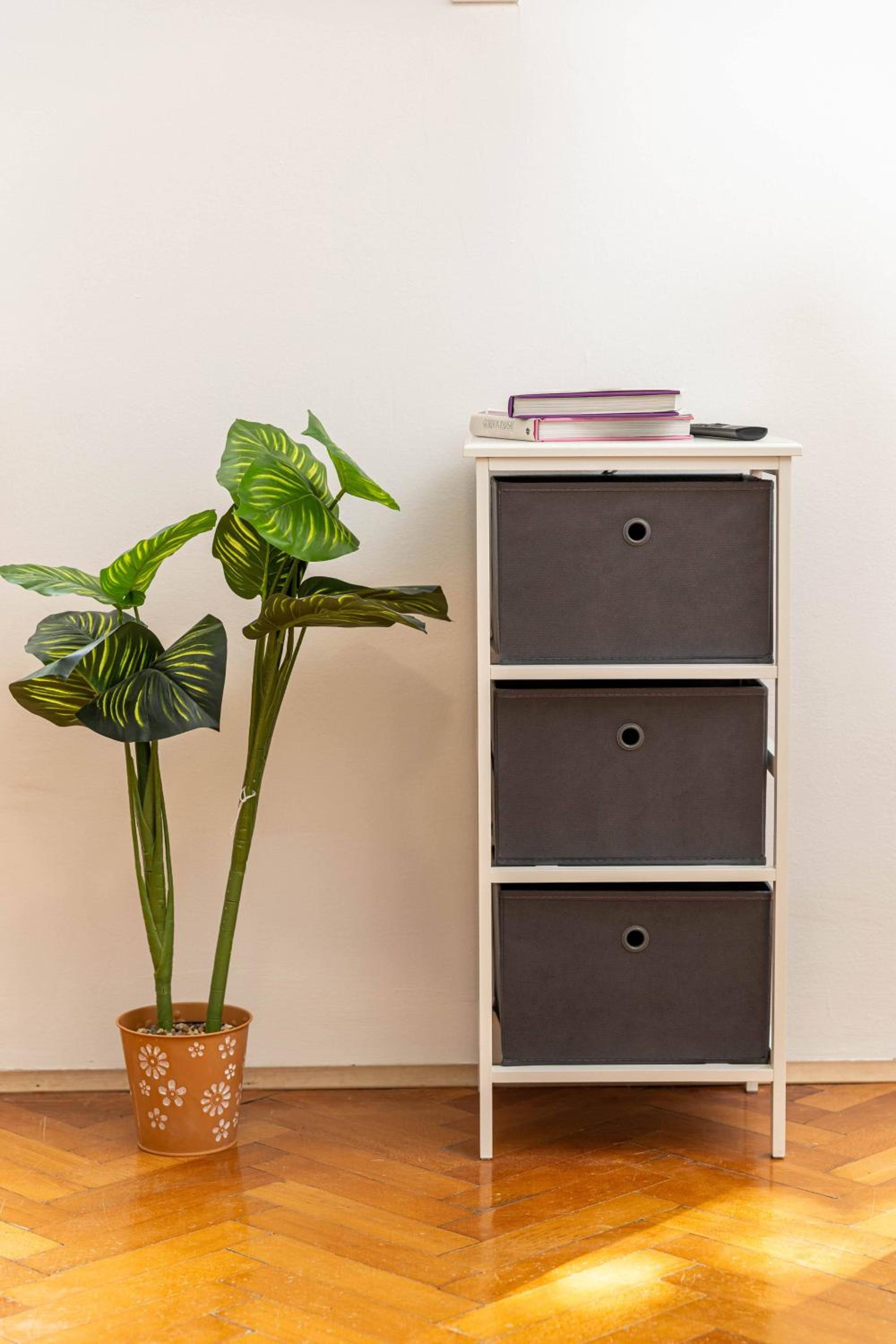 Placa apartment