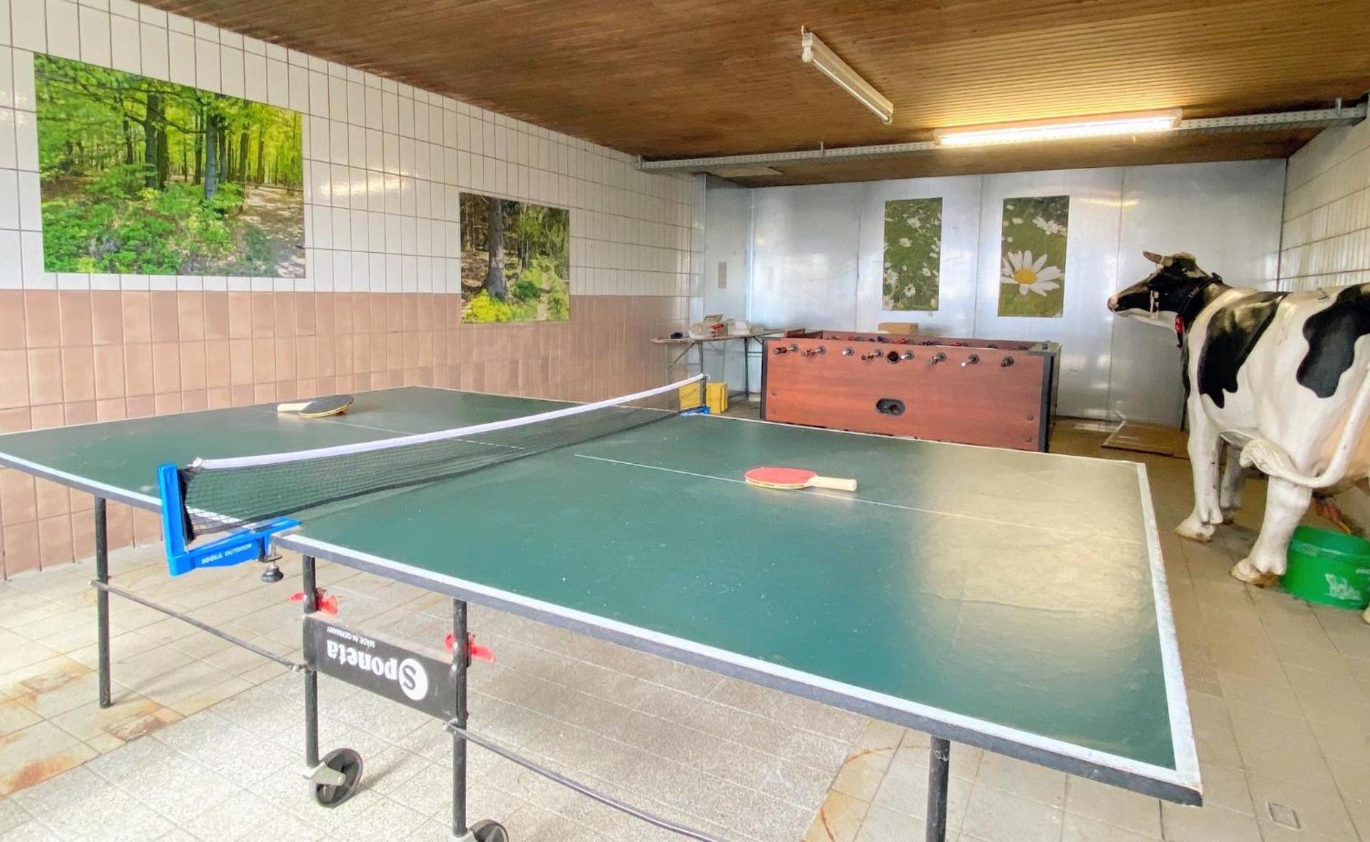 Victorhof Landurlaub Deine Auszeit im Grünen, umgeben von Wald & Wiesen