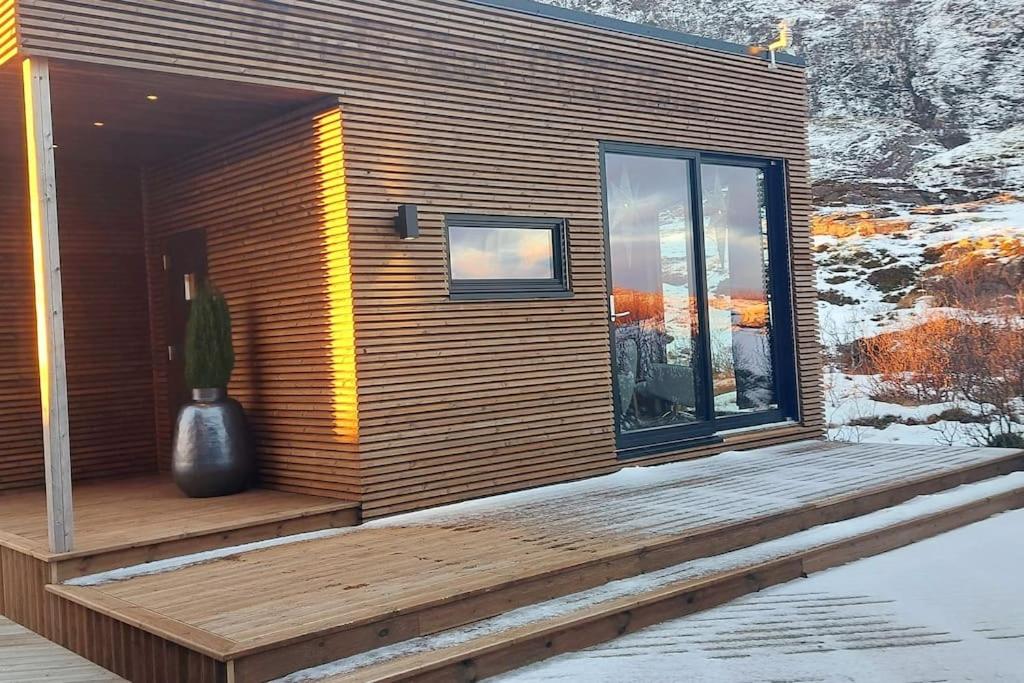 Cabin Aurora Borealis view 2