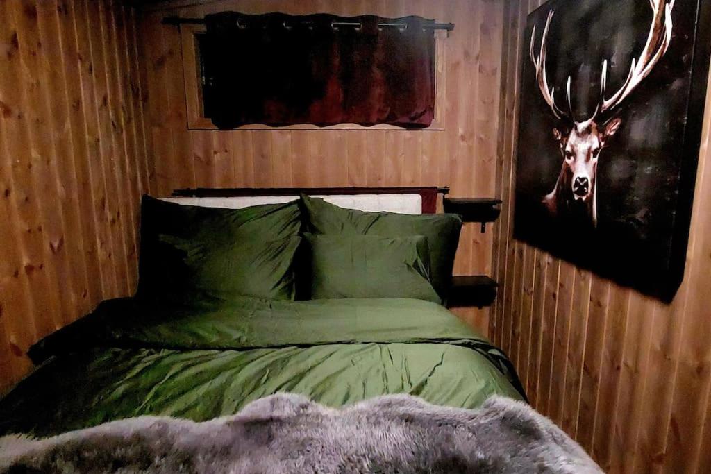 Cabin Aurora Borealis view 3